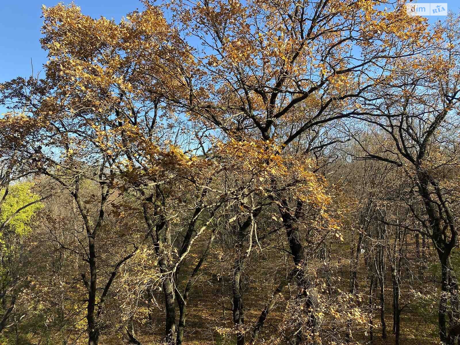 Продажа однокомнатной квартиры в Виннице, на ул. Профессора Шульги, район Подолье фото 1