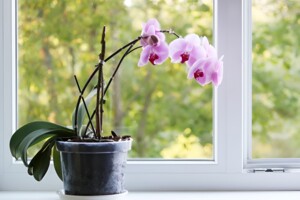 Продаж однокімнатної квартири в Вінниці, на вул. Лялі Ратушної, район Слов'янка фото 2