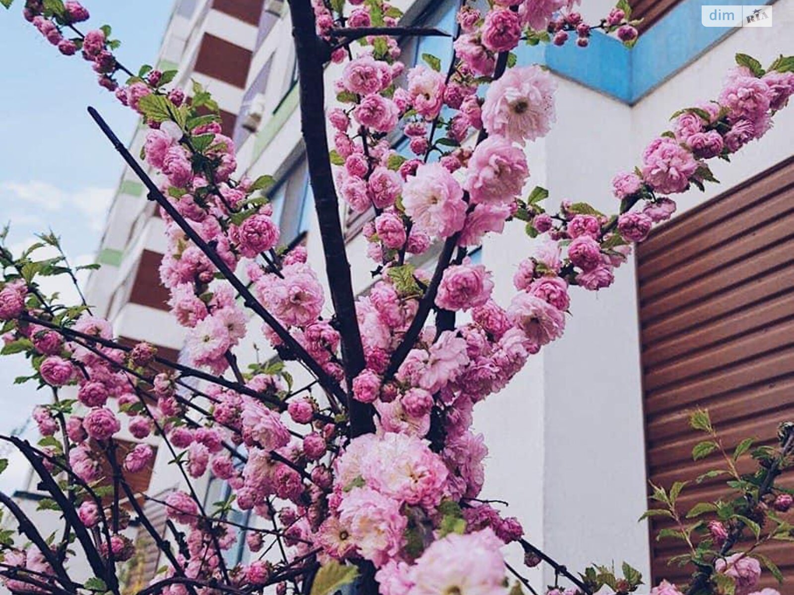 Продажа однокомнатной квартиры в Вишневом, на ул. Просвещения 17, фото 1