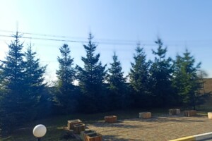 Продаж однокімнатної квартири в Ворзелі, на вул. Павла Чубинського, фото 2