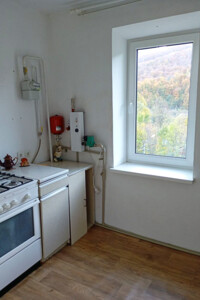 Продаж двокімнатної квартири в Яремчі, на вул. Свободи 214, район Яремче фото 2