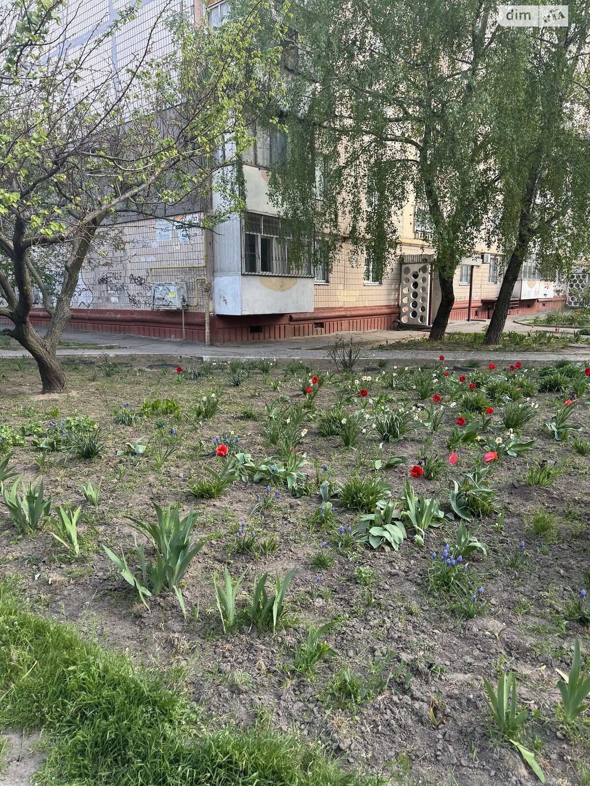 Продаж однокімнатної квартири в Запоріжжі, на вул. Товариська 37А, район Бородинський фото 1 Продаж однокімнатної квартири в Запоріжжі, на вул. Товариська 37А, район Бородинський фото 1
