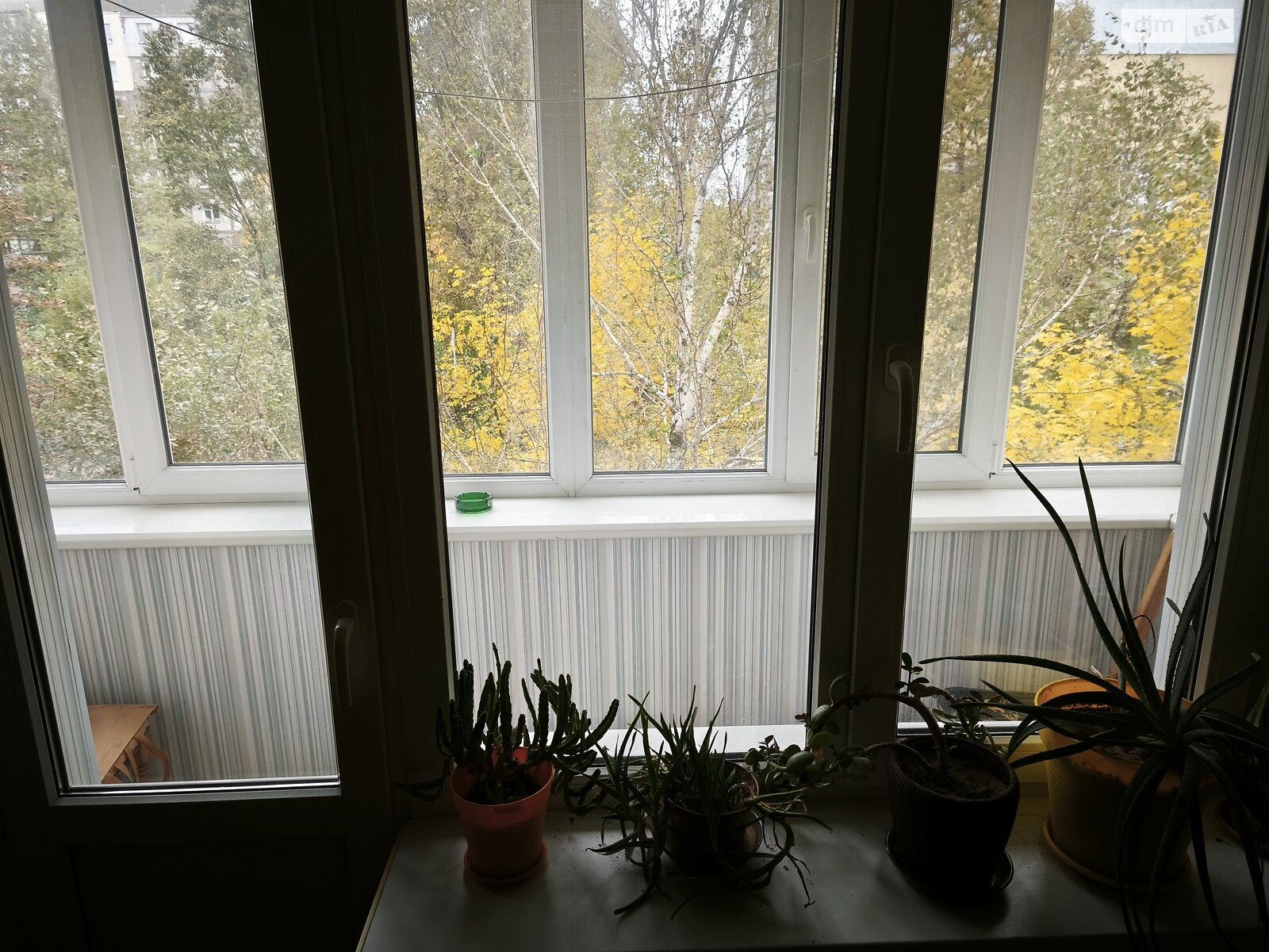 Продажа однокомнатной квартиры в Запорожье, на ул. Энтузиастов 11, кв. 49, район Хортицкий фото 1 Продажа однокомнатной квартиры в Запорожье, на ул. Энтузиастов 11, кв. 49, район Хортицкий фото 1