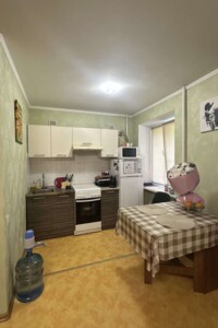 Продажа однокомнатной квартиры в Запорожье, на ул. Трегубенко 2, район Днепровский (Ленинский) фото 2