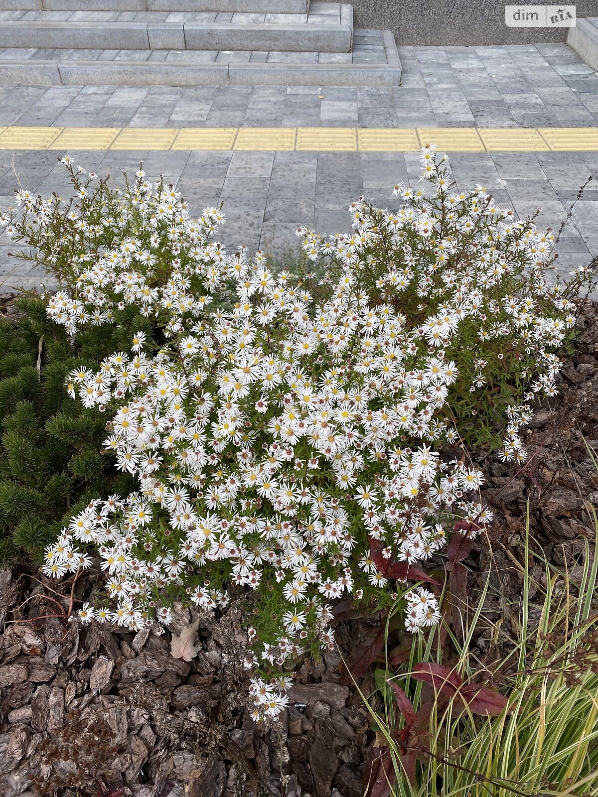 Продажа однокомнатной квартиры в Зарванцах, на ул. Одесская, фото 1 Продажа однокомнатной квартиры в Зарванцах, на ул. Одесская, фото 1