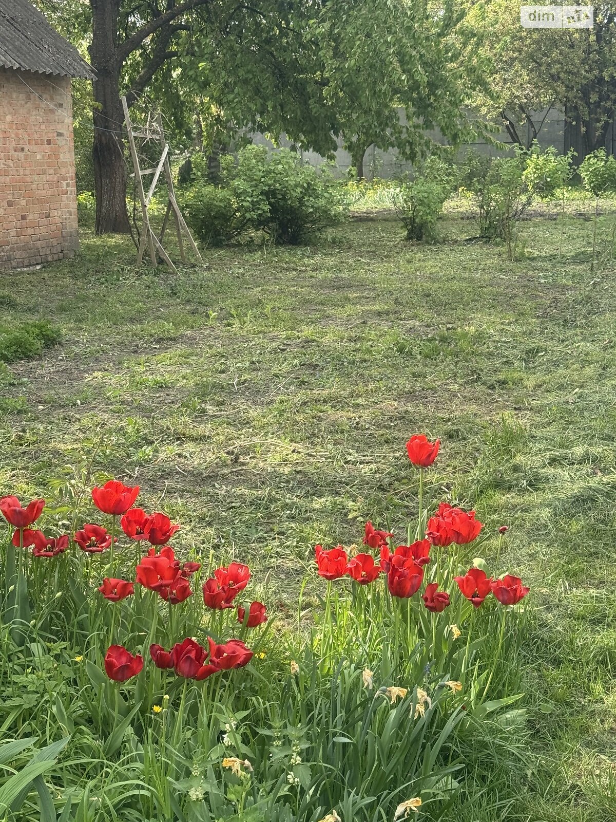 Продажа однокомнатной квартиры в Здолбунове, на ул. Словацкого, район Центр фото 1 Продажа однокомнатной квартиры в Здолбунове, на ул. Словацкого, район Центр фото 1