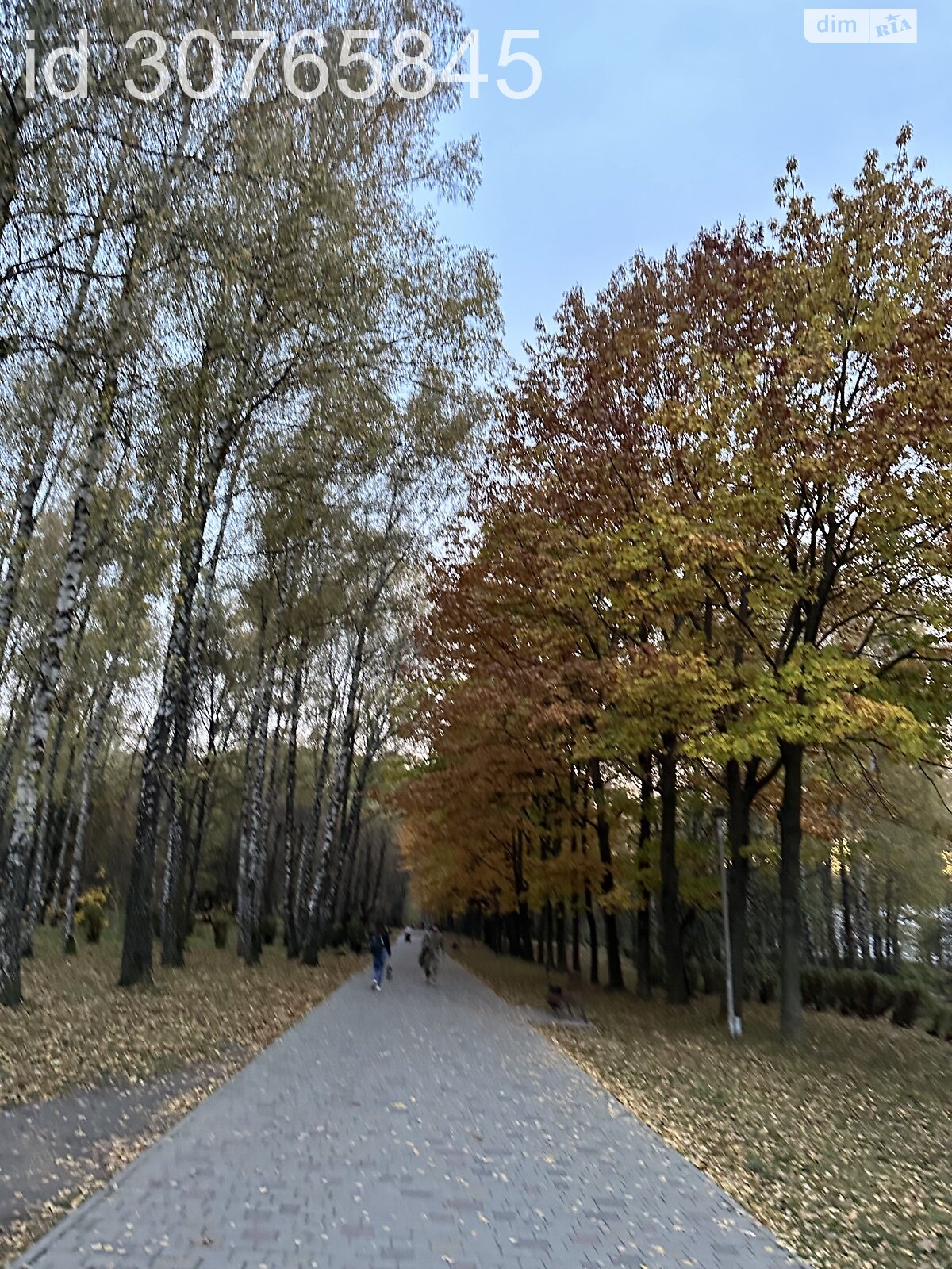 Место в гаражном кооперативе под легковое авто в Тернополе, площадь 17 кв.м. фото 1