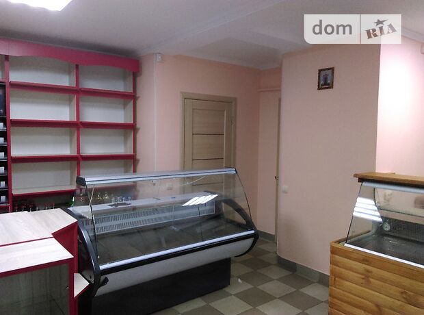Спеціальне приміщення в Житомирі, продаж по Короленка 1-й провулок, район Центр, ціна: 47 800 долларів за об’єкт фото 1 Спеціальне приміщення в Житомирі, продаж по Короленка 1-й провулок, район Центр, ціна: 47 800 долларів за об’єкт фото 1