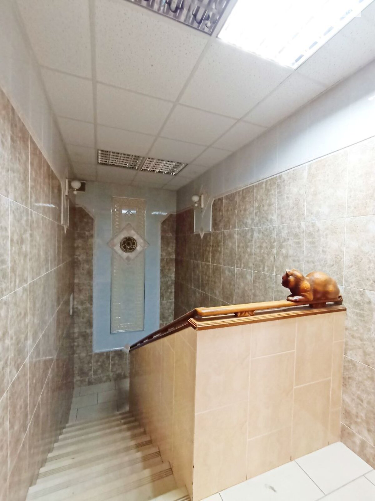 Офисное помещение на 198 кв.м. в Хмельницком фото 1 Офисное помещение на 198 кв.м. в Хмельницком фото 1