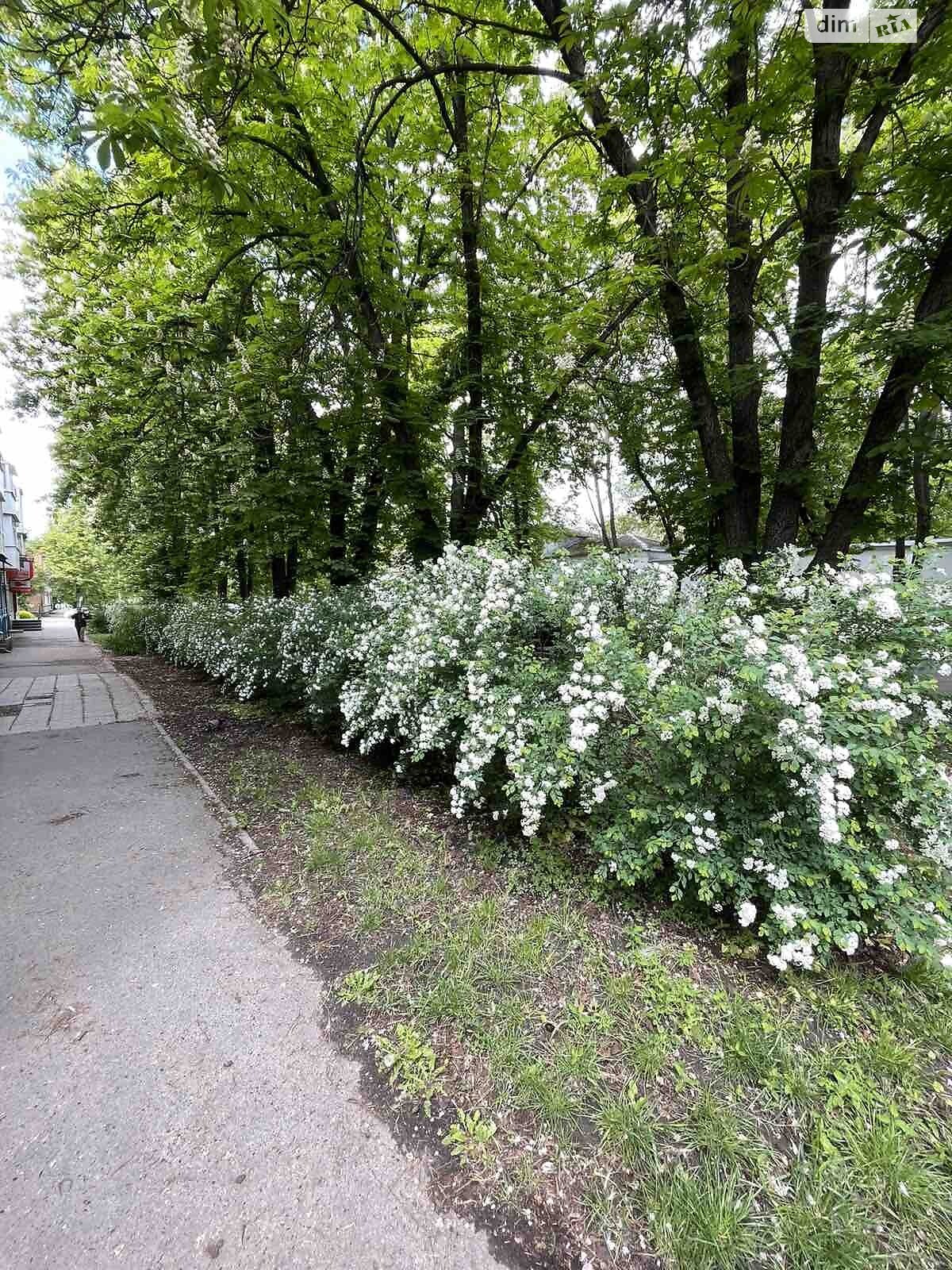 Офісне приміщення на 30 кв.м. в Полтаві фото 1 Офісне приміщення на 30 кв.м. в Полтаві фото 1
