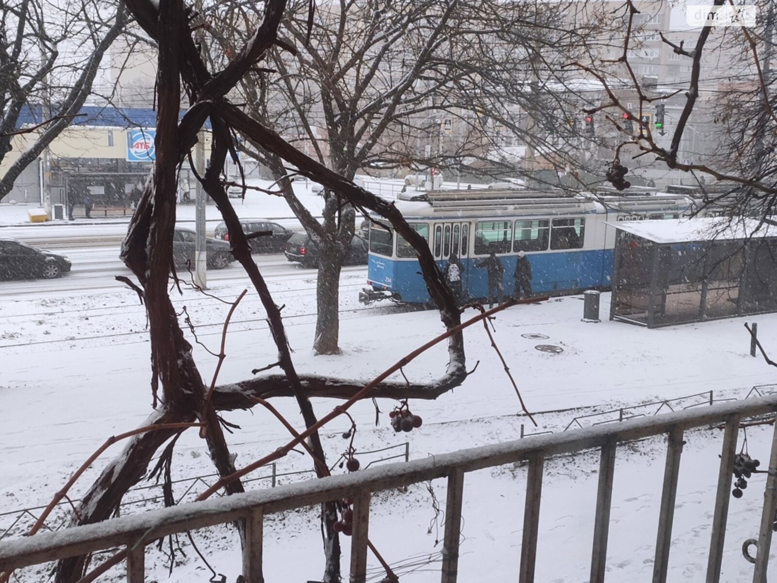 Отдельно стоящий гараж под легковое авто в Виннице, площадь 20 кв.м. фото 1