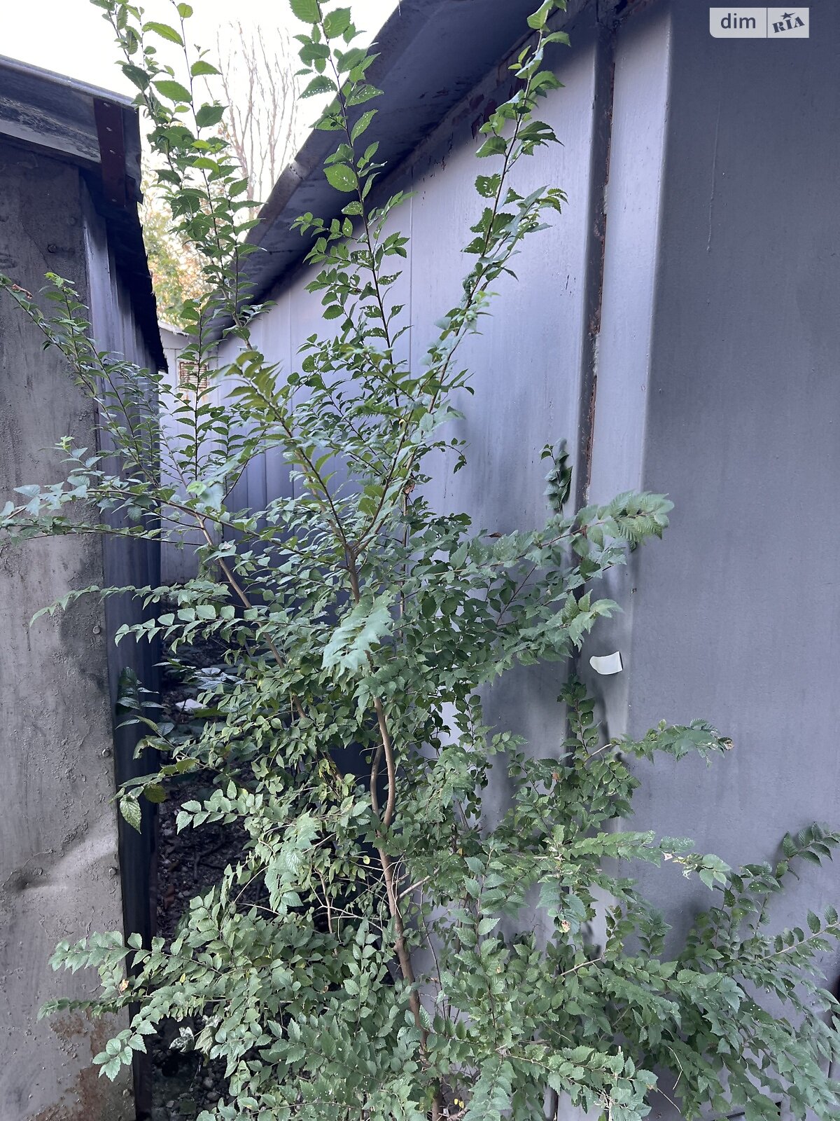 Отдельно стоящий гараж под легковое авто в Запорожье, площадь 6.9 кв.м. фото 1 Отдельно стоящий гараж под легковое авто в Запорожье, площадь 6.9 кв.м. фото 1