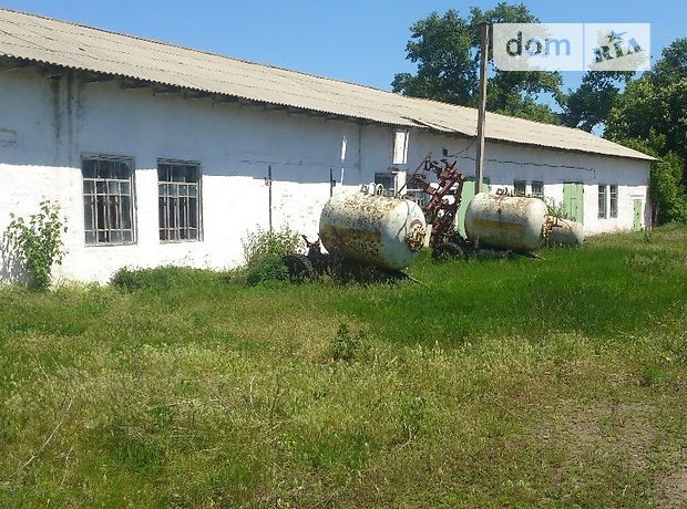 Помещение свободного назначения в Чернобае, продажа по, в селе Богодуховка, цена: договорная за объект фото 1 Помещение свободного назначения в Чернобае, продажа по, в селе Богодуховка, цена: договорная за объект фото 1