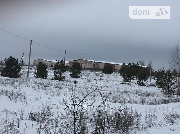 Помещение свободного назначения Коростень, фото 1 Помещение свободного назначения Коростень, Продажа фото 1