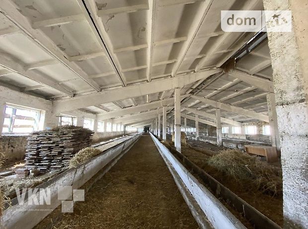 Помещение свободного назначения в Немирове, продажа по, в селе Воробеевка, цена: договорная за объект фото 1 Помещение свободного назначения в Немирове, продажа по, в селе Воробеевка, цена: договорная за объект фото 1