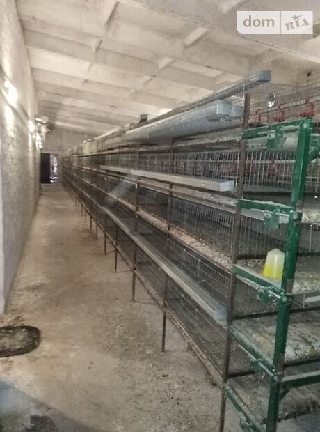 Производственное помещение в Чернигове, продажа по Боромики, в селе Боромики, цена: договорная за объект фото 1 Производственное помещение в Чернигове, продажа по Боромики, в селе Боромики, цена: договорная за объект фото 1
