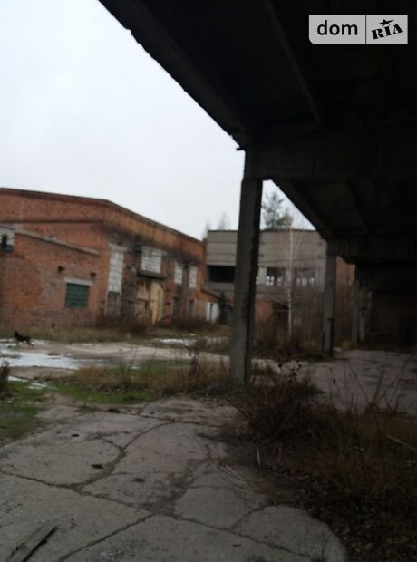 Производственное помещение в Чернигове, продажа по Щорса, район КСК, цена: договорная за объект фото 1 Производственное помещение в Чернигове, продажа по Щорса, район КСК, цена: договорная за объект фото 1