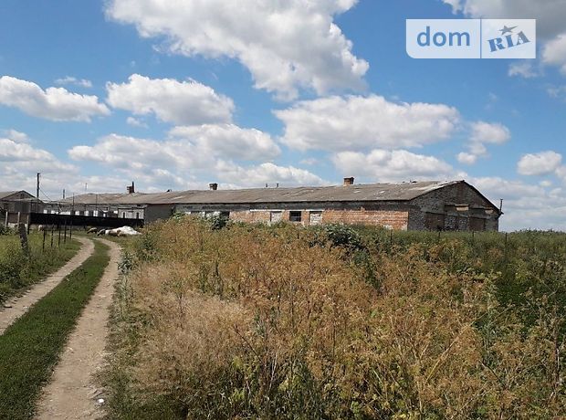 Производственное помещение в Казатине, продажа по Ворошилова, в селе Титусовка, цена: договорная за объект фото 1 Производственное помещение в Казатине, продажа по Ворошилова, в селе Титусовка, цена: договорная за объект фото 1