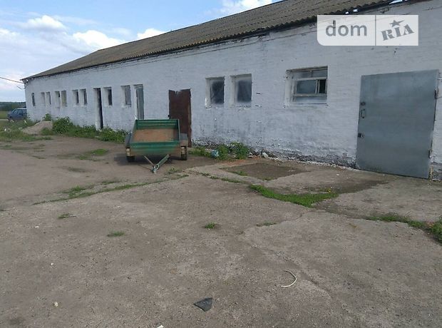 Производственное помещение в Кировограде, продажа по, в селе Оситняжка, цена: 9 500 долларов за объект фото 1 Производственное помещение в Кировограде, продажа по, в селе Оситняжка, цена: 9 500 долларов за объект фото 1