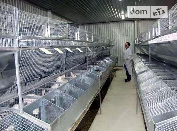 Производственное помещение в Козельце, продажа по петровское, в селе Петровское, цена: договорная за объект фото 1 Производственное помещение в Козельце, продажа по петровское, в селе Петровское, цена: договорная за объект фото 1