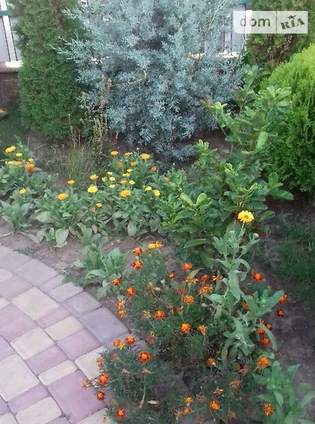 Производственное помещение в Тернополе, продажа по Полевая улица, в селе Остров, цена: договорная за объект фото 1 Производственное помещение в Тернополе, продажа по Полевая улица, в селе Остров, цена: договорная за объект фото 1