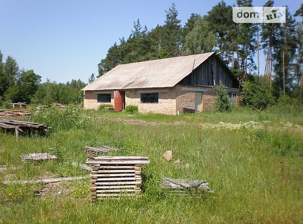 Производственное помещение в Шевченково, Поліська, цена продажи: 37 000 долларов за объект фото 1 Производственное помещение в Шевченково, Поліська, цена продажи: 37 000 долларов за объект фото 1