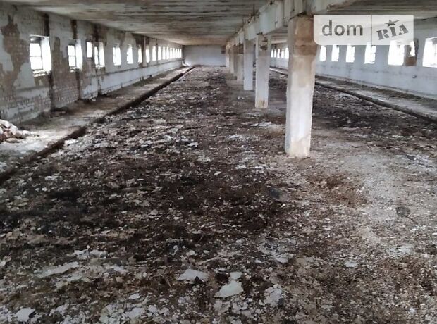 Складское помещение в Маньковке, продажа по, в селе Нестеровка, цена: договорная за объект фото 1 Складское помещение в Маньковке, продажа по, в селе Нестеровка, цена: договорная за объект фото 1