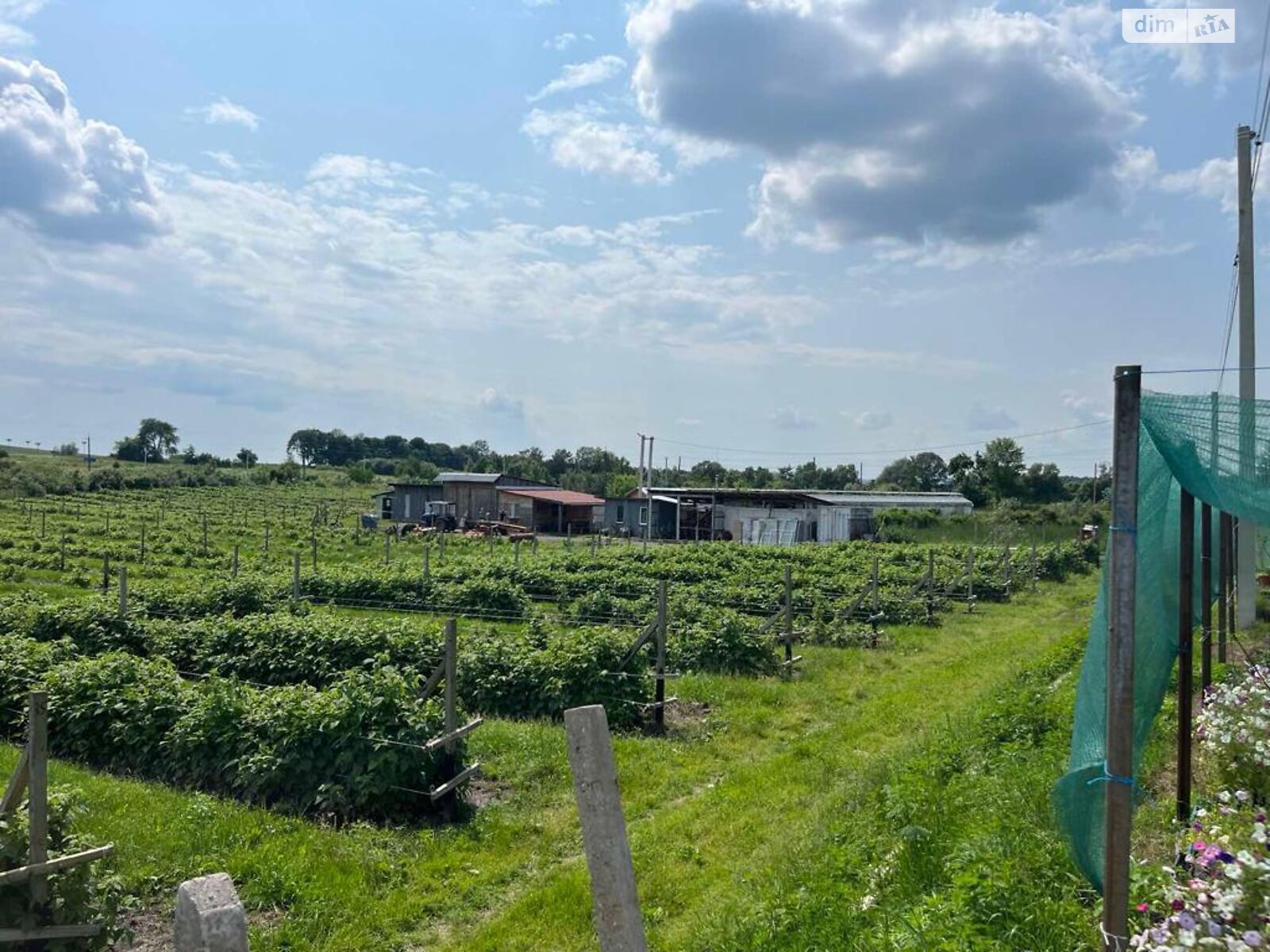 Спеціальне приміщення в Блищиводи, Миру вулиця 86, ціна продажу: 550 000 доларів за об’єкт фото 1 Спеціальне приміщення в Блищиводи, Миру вулиця 86, ціна продажу: 550 000 доларів за об’єкт фото 1