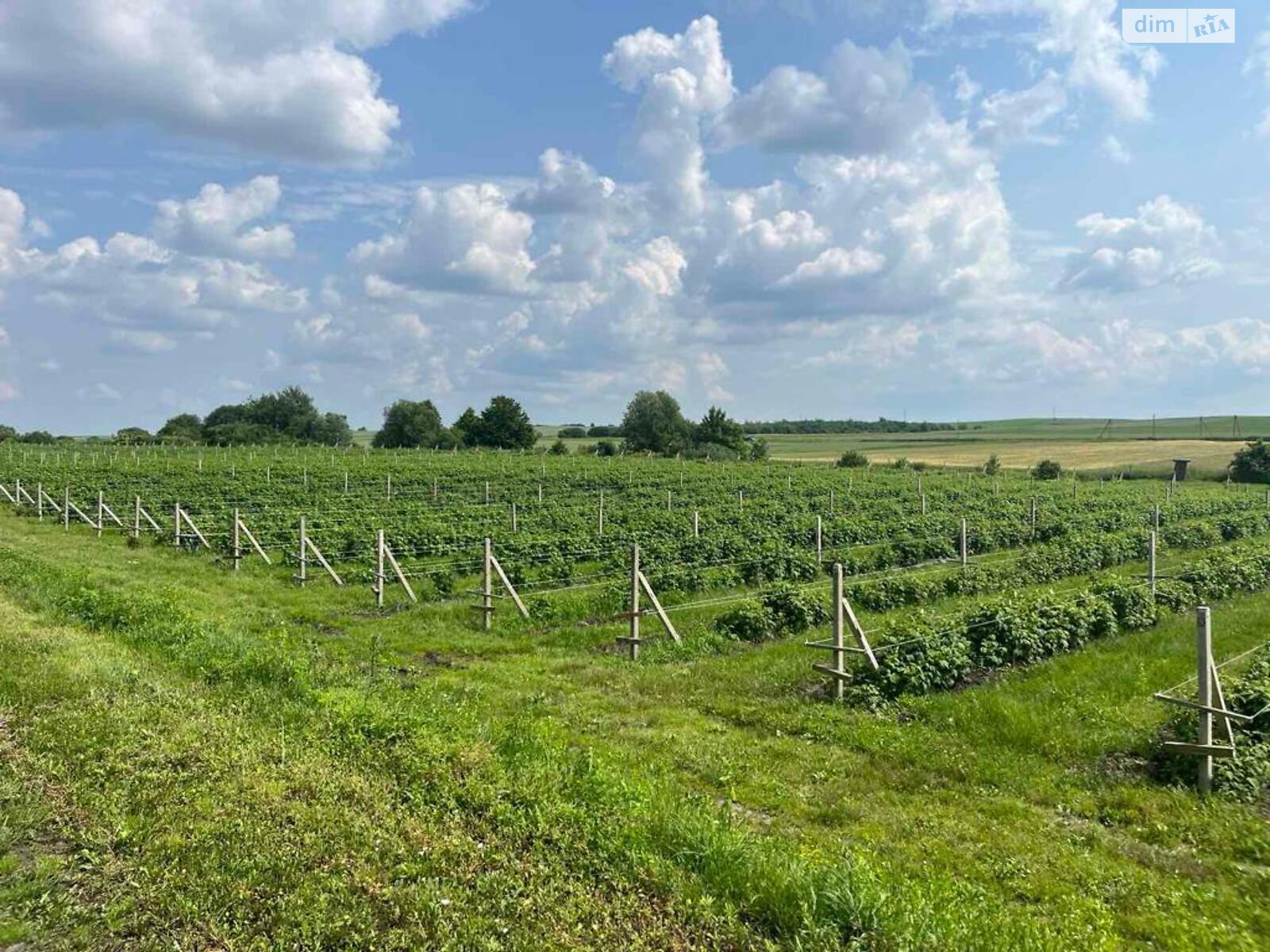 Спеціальне приміщення в Блищиводи, Миру вулиця 86, ціна продажу: 550 000 доларів за об’єкт фото 1 Спеціальне приміщення в Блищиводи, Миру вулиця 86, ціна продажу: 550 000 доларів за об’єкт фото 1