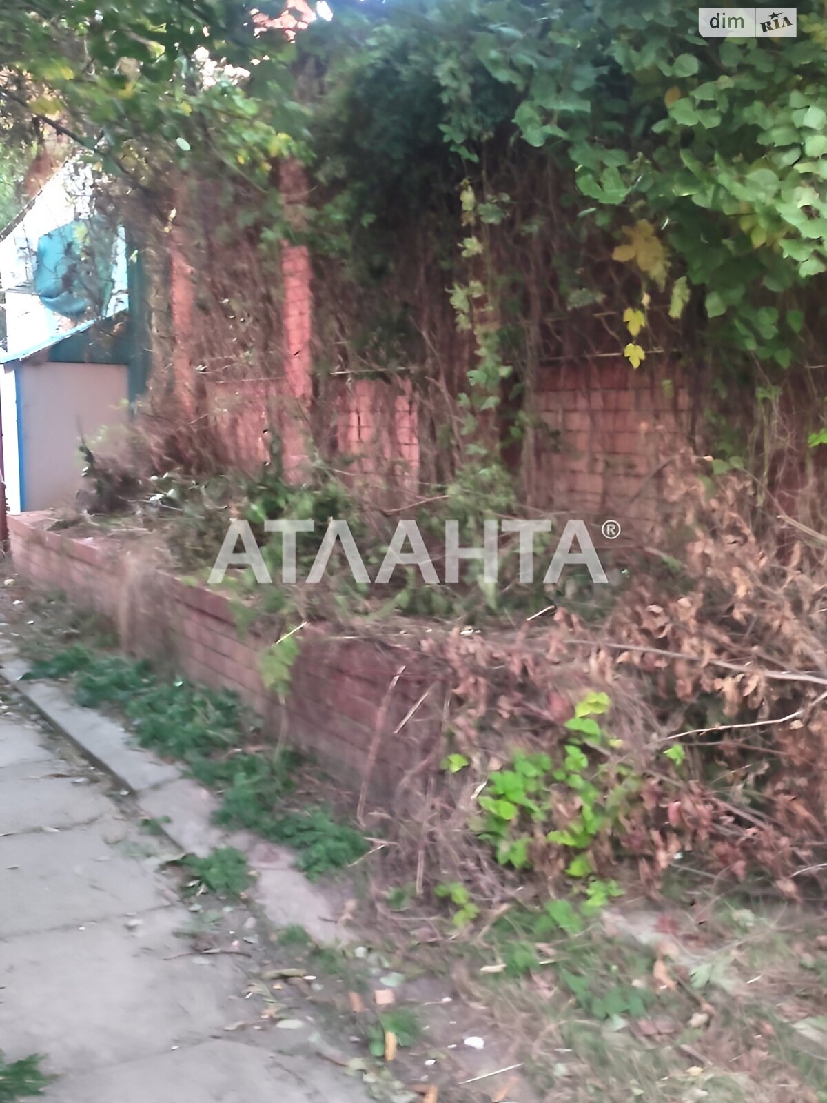 Специальное помещение в Фонтанке, Молодежная, цена продажи: 25 000 долларов за объект фото 1 Специальное помещение в Фонтанке, Молодежная, цена продажи: 25 000 долларов за объект фото 1
