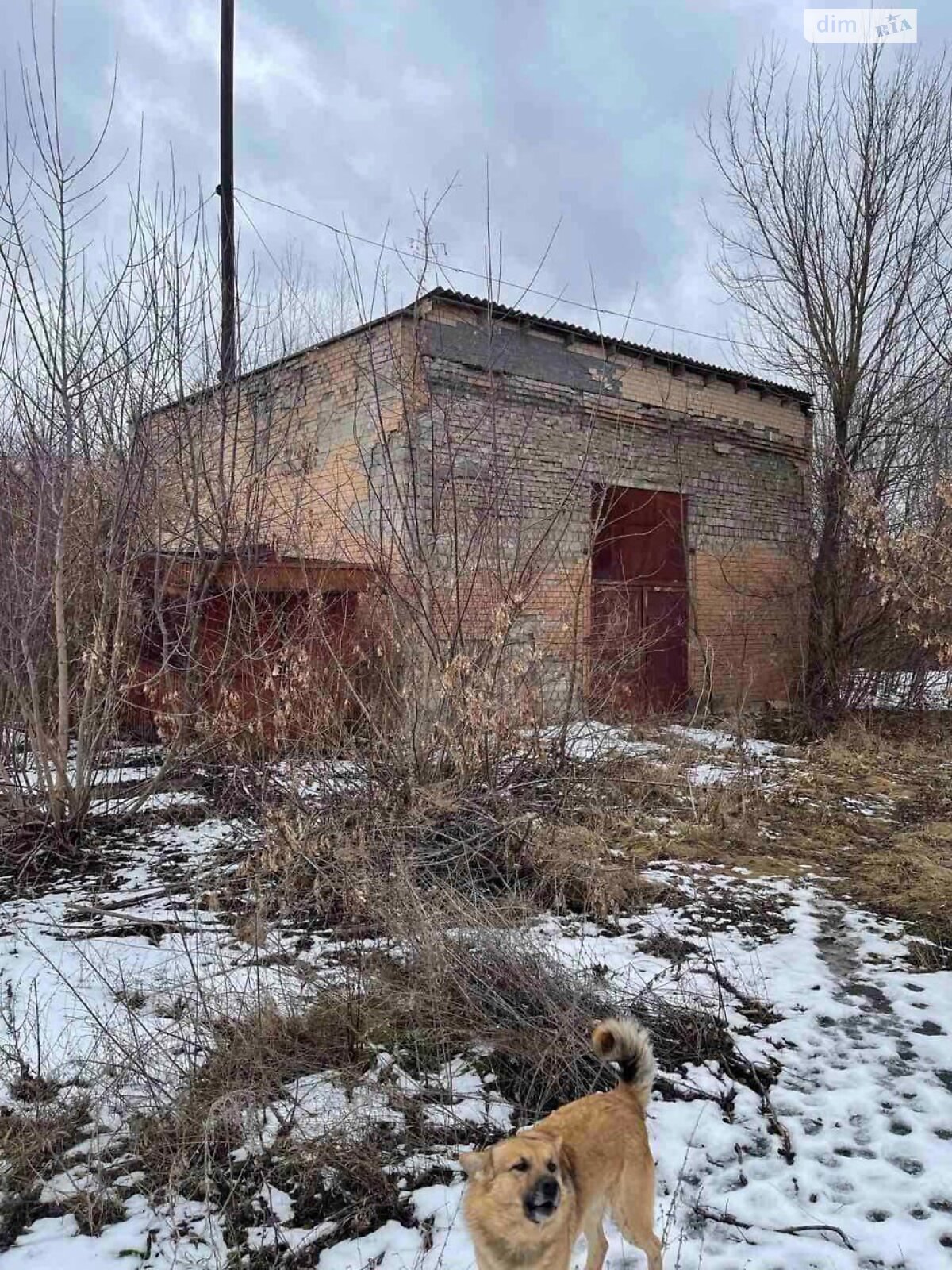 Специальное помещение в Гуменцах, Хмельницкое шоссе 1, цена продажи: 167 090 долларов за объект фото 1 Специальное помещение в Гуменцах, Хмельницкое шоссе 1, цена продажи: 167 090 долларов за объект фото 1