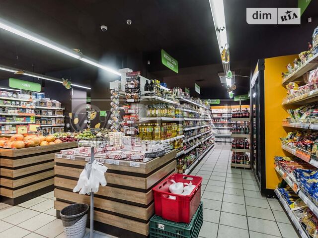 Commercial real estate at st. Ul Vladimirskaya (area 520 m²) - Atlanta.ua - photo 12