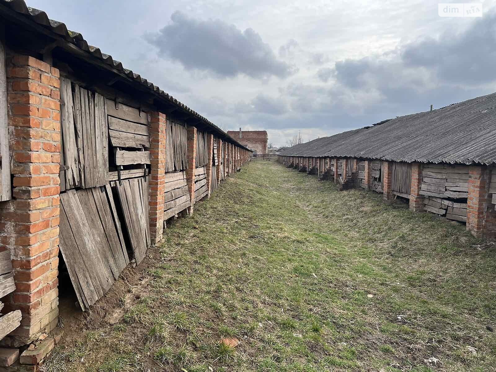 Специальное помещение в Кобеляках, продажа по міжколгоспна, район Кобеляки, цена: 88 000 долларов за объект фото 1