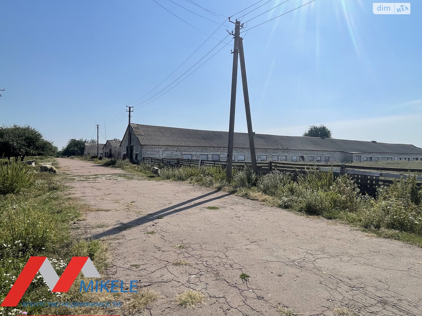 Специальное помещение в Королевке, провулок Польовий, цена продажи: 1 300 000 долларов за объект фото 1 Специальное помещение в Королевке, провулок Польовий, цена продажи: 1 300 000 долларов за объект фото 1