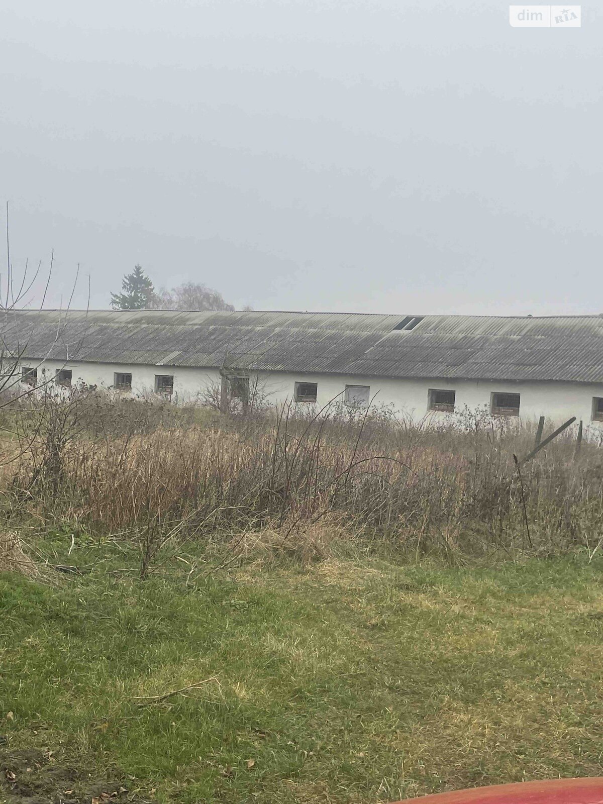 Специальное помещение в Козовке, Тараса Шевченка улица, цена продажи: 178 382 долларов за объект фото 1