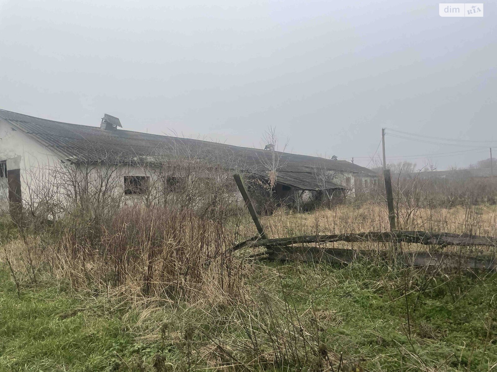 Специальное помещение в Козовке, Тараса Шевченка улица, цена продажи: 178 382 долларов за объект фото 1