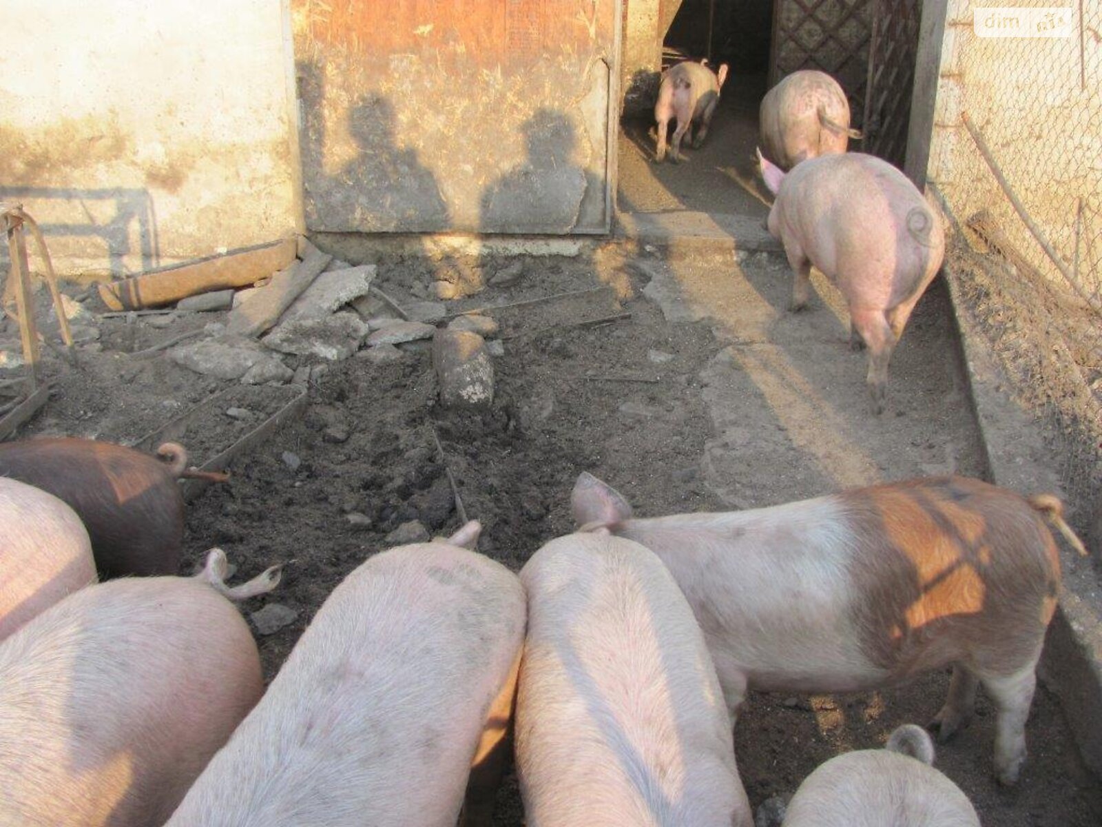 Специальное помещение в Кучургане, Павла Каплуна (Ленина) улица, цена продажи: 35 000 долларов за объект фото 1 Специальное помещение в Кучургане, Павла Каплуна (Ленина) улица, цена продажи: 35 000 долларов за объект фото 1