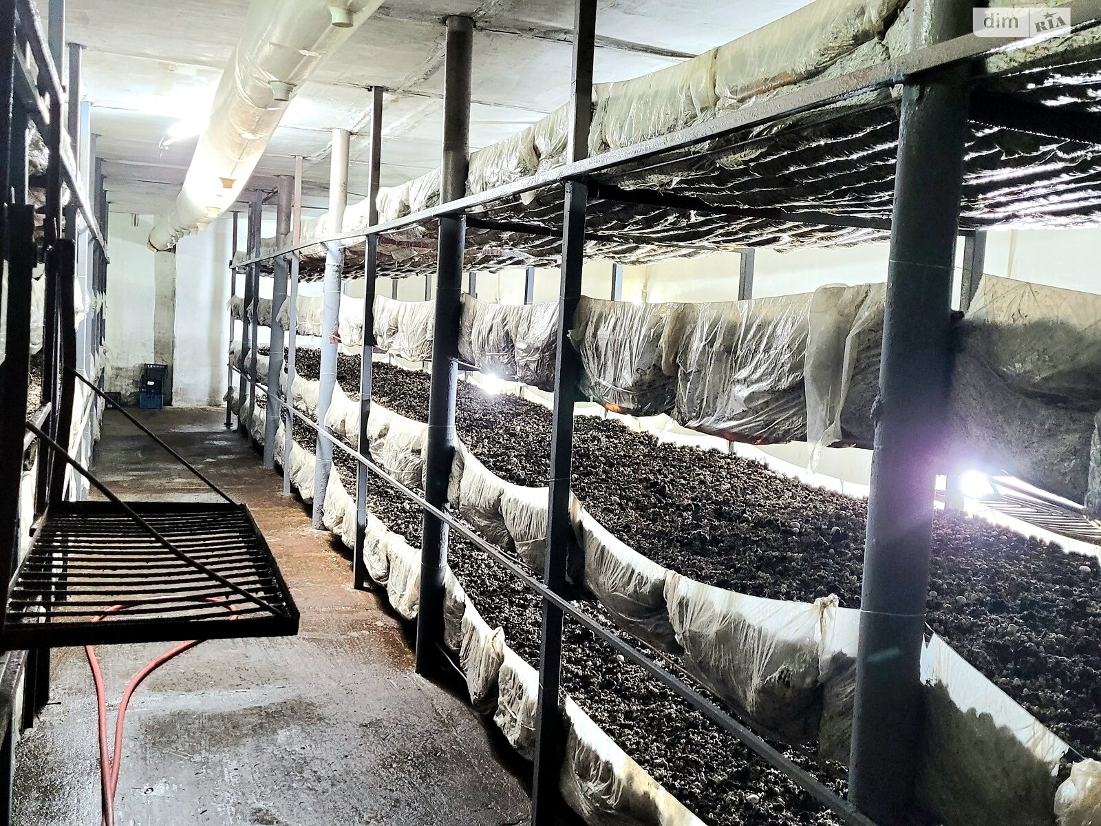 Специальное помещение в Кустине, Шевченко улица, цена продажи: 180 000 долларов за объект фото 1 Специальное помещение в Кустине, Шевченко улица, цена продажи: 180 000 долларов за объект фото 1