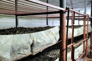 Специальное помещение в Кустине, Шевченко улица, цена продажи: 180 000 долларов за объект фото 2 Специальное помещение в Кустине, Шевченко улица, цена продажи: 180 000 долларов за объект фото 2