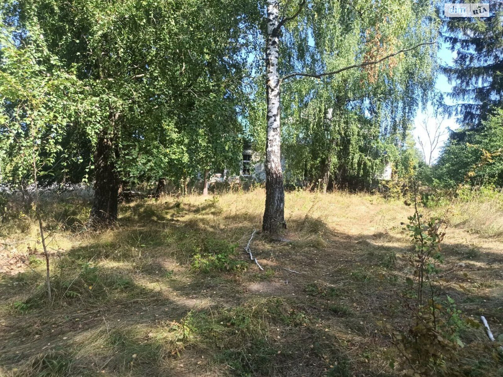 Спеціальне приміщення в Подільське, вулиця Центральна, ціна продажу: 35 500 доларів за об’єкт фото 1 Спеціальне приміщення в Подільське, вулиця Центральна, ціна продажу: 35 500 доларів за об’єкт фото 1