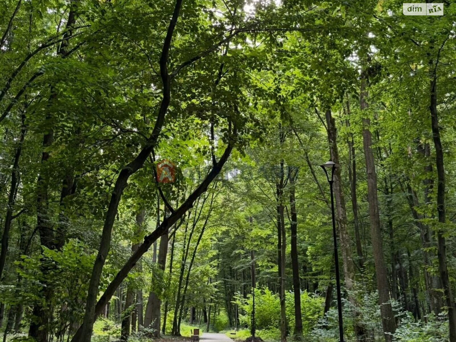 Специальное помещение в Львове, продажа по Широкая улица 22, район Шевченковский, цена: 62 055 долларов за объект фото 1