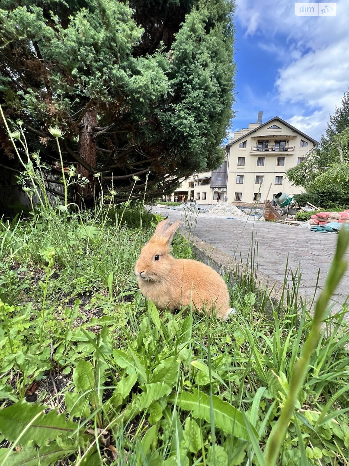 Специальное помещение в Микуличине, Грушевского улица, цена продажи: 136 800 долларов за объект фото 1