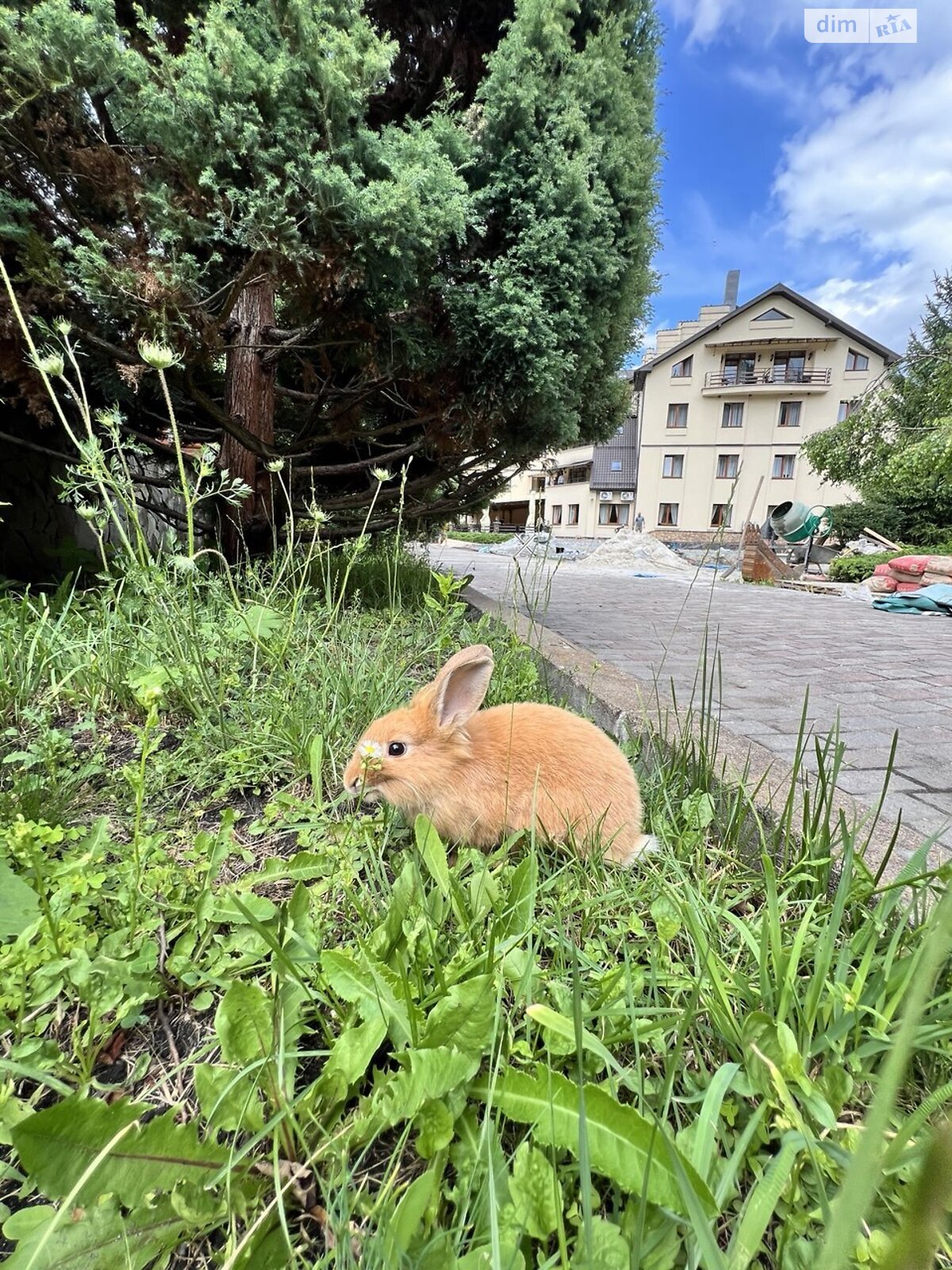 Специальное помещение в Микуличине, Грушевского улица, цена продажи: 657 330 долларов за объект фото 1 Специальное помещение в Микуличине, Грушевского улица, цена продажи: 657 330 долларов за объект фото 1