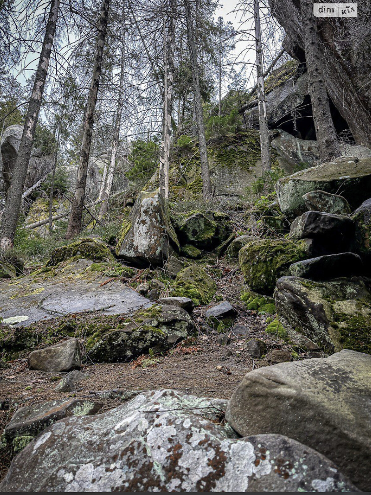 Специальное помещение в Микуличине, Подстрим (Космонавтов) улица, цена продажи: 299 990 долларов за объект фото 1 Специальное помещение в Микуличине, Подстрим (Космонавтов) улица, цена продажи: 299 990 долларов за объект фото 1