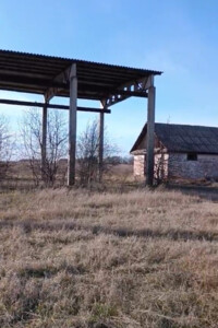 Спеціальне приміщення в Народичах, продаж по Корольова вулиця 1, район Народичі, ціна: 47 840 доларів за об’єкт фото 2