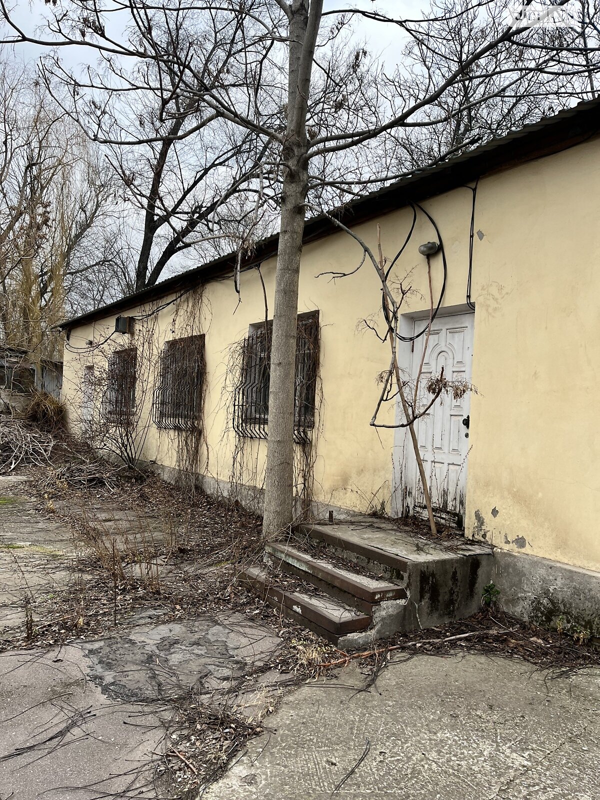Спеціальне приміщення в Орджоникидзе, продаж по вул. Медична 3, район Орджонікідзе, ціна: 26 230 доларів за об’єкт фото 1 Спеціальне приміщення в Орджоникидзе, продаж по вул. Медична 3, район Орджонікідзе, ціна: 26 230 доларів за об’єкт фото 1