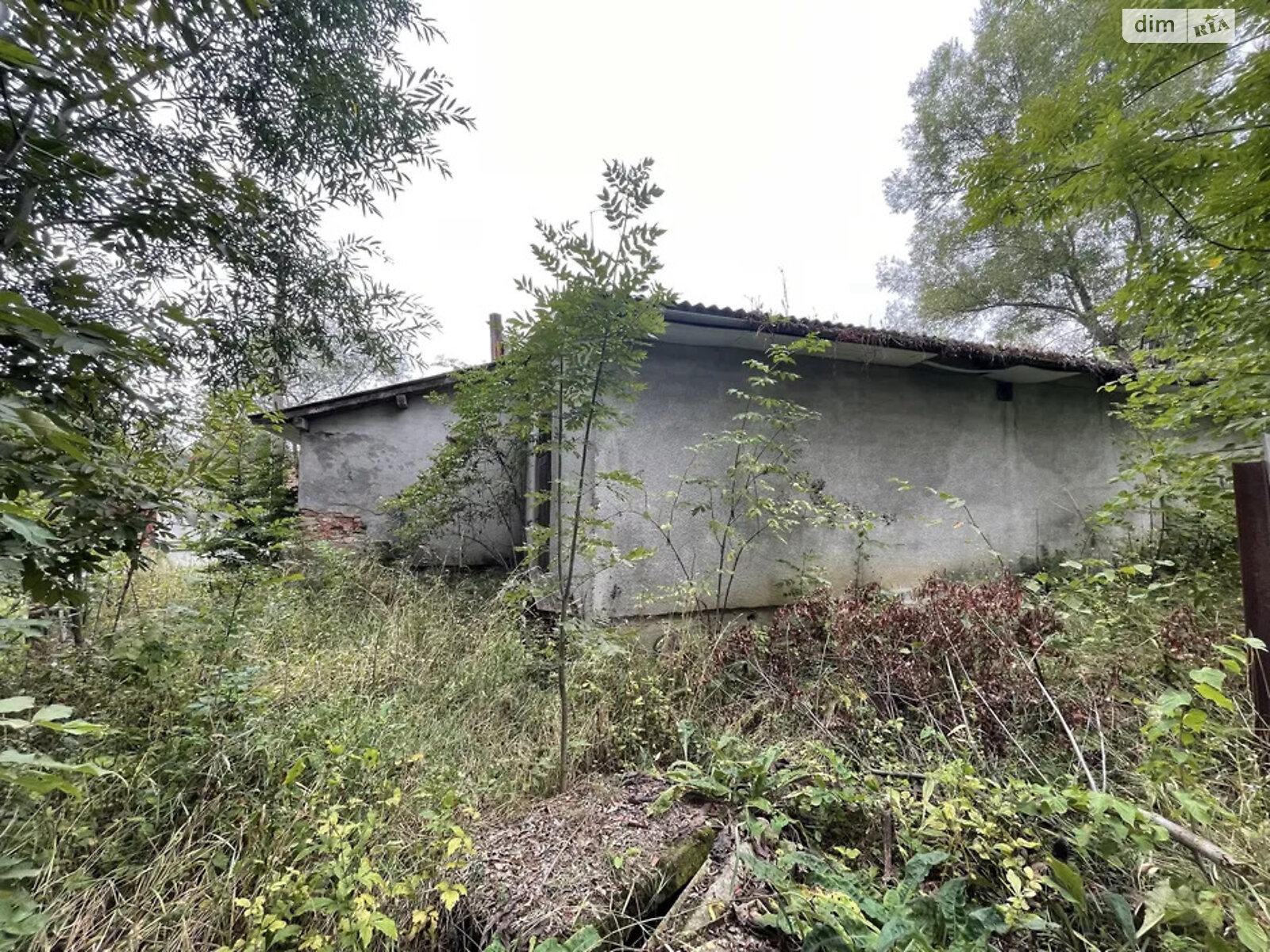 Спеціальне приміщення в Трійці, Головна вулиця, ціна продажу: 25 000 доларів за об’єкт фото 1 Спеціальне приміщення в Трійці, Головна вулиця, ціна продажу: 25 000 доларів за об’єкт фото 1