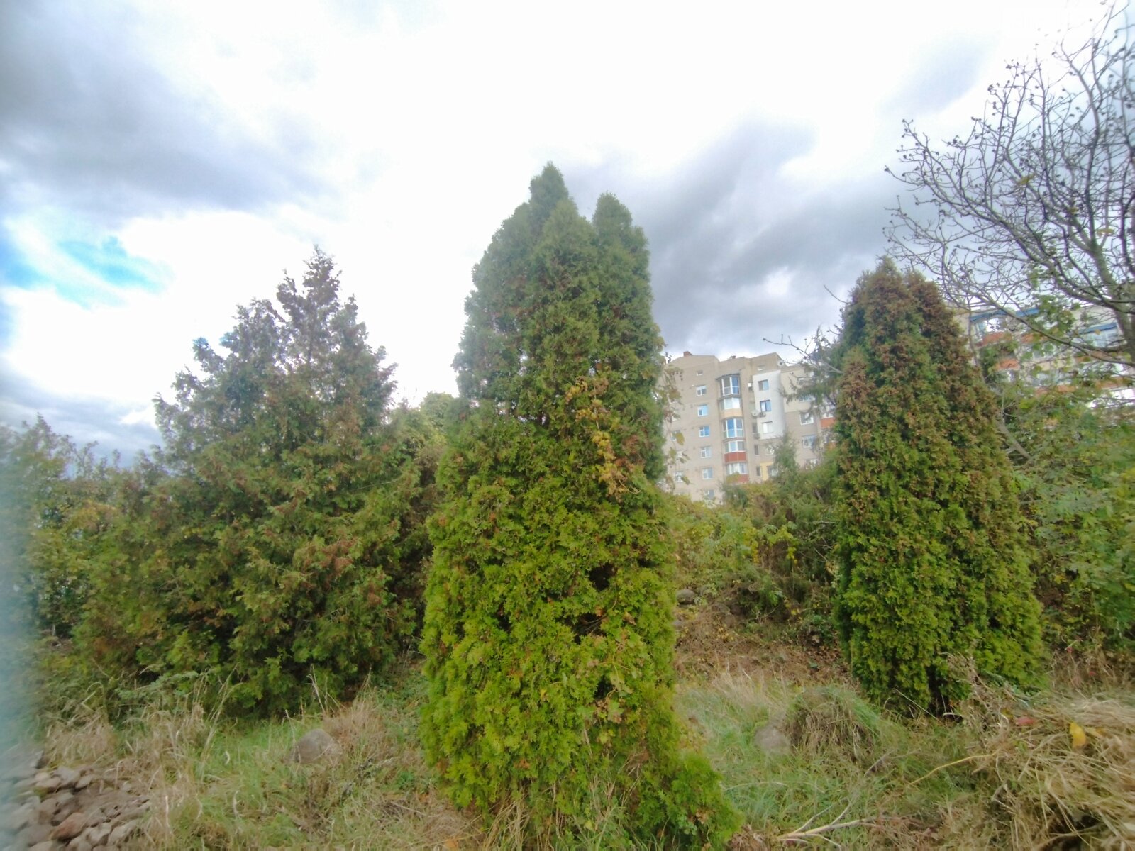 Спеціальне приміщення в Вінниці, продаж по Ярослава Мудрого вулиця, район undefined, ціна: 250 000 доларів за об’єкт фото 1