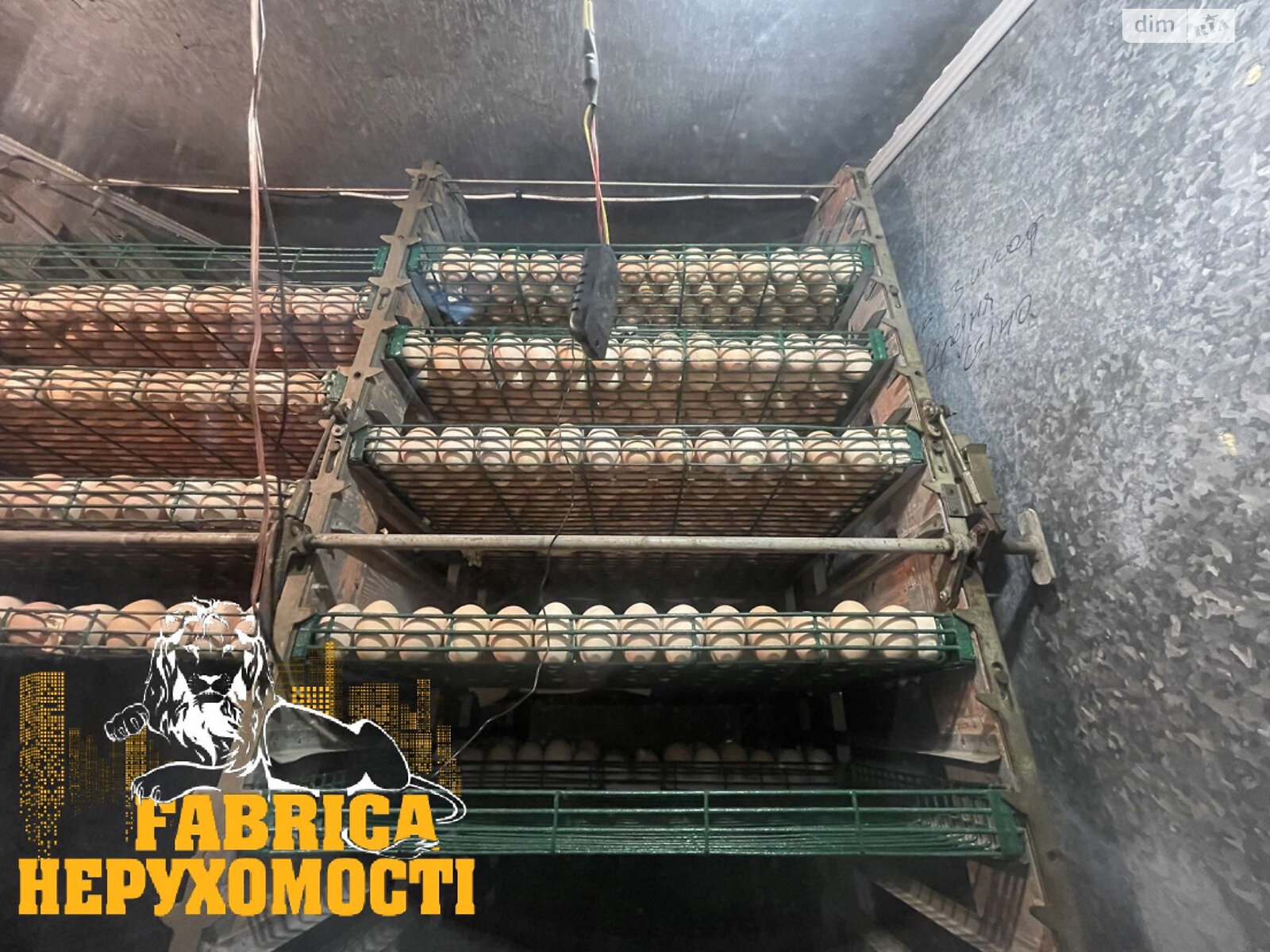 Специальное помещение в Вишновом, Центральная улица 22, цена продажи: 350 000 долларов за объект фото 1 Специальное помещение в Вишновом, Центральная улица 22, цена продажи: 350 000 долларов за объект фото 1