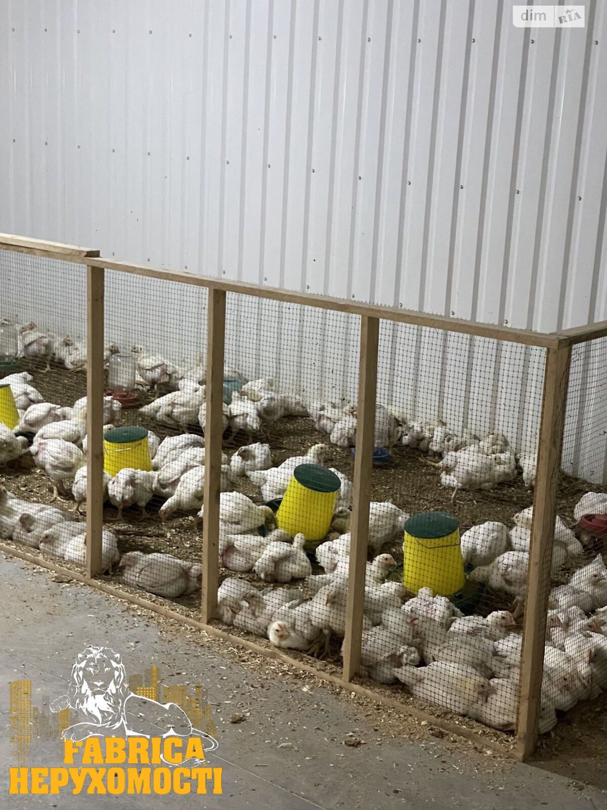 Специальное помещение в Вишновом, Центральная улица 22, цена продажи: 350 000 долларов за объект фото 1 Специальное помещение в Вишновом, Центральная улица 22, цена продажи: 350 000 долларов за объект фото 1